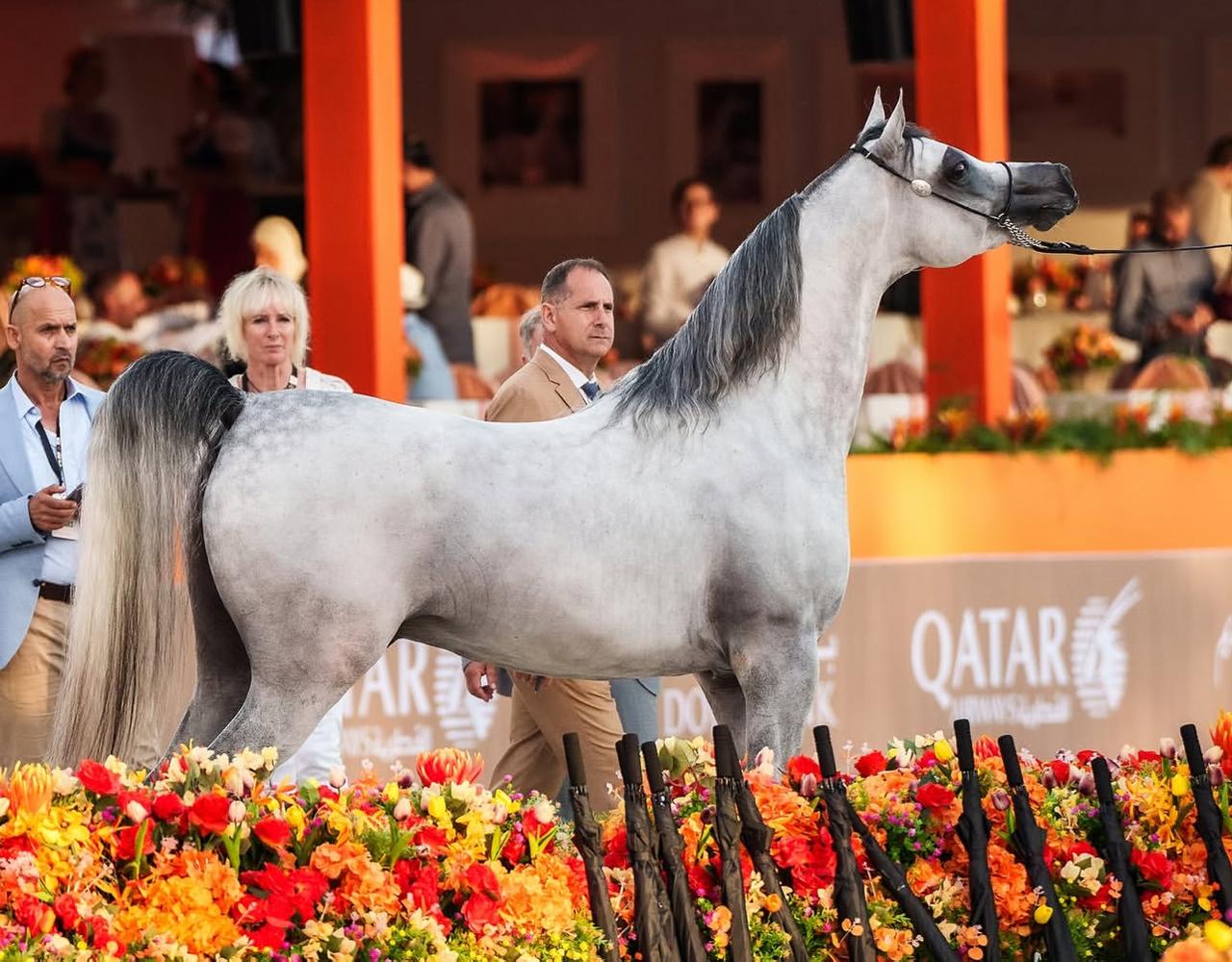 WhatsApp Image 2026-02-05 at 4.30.23 PM (2)